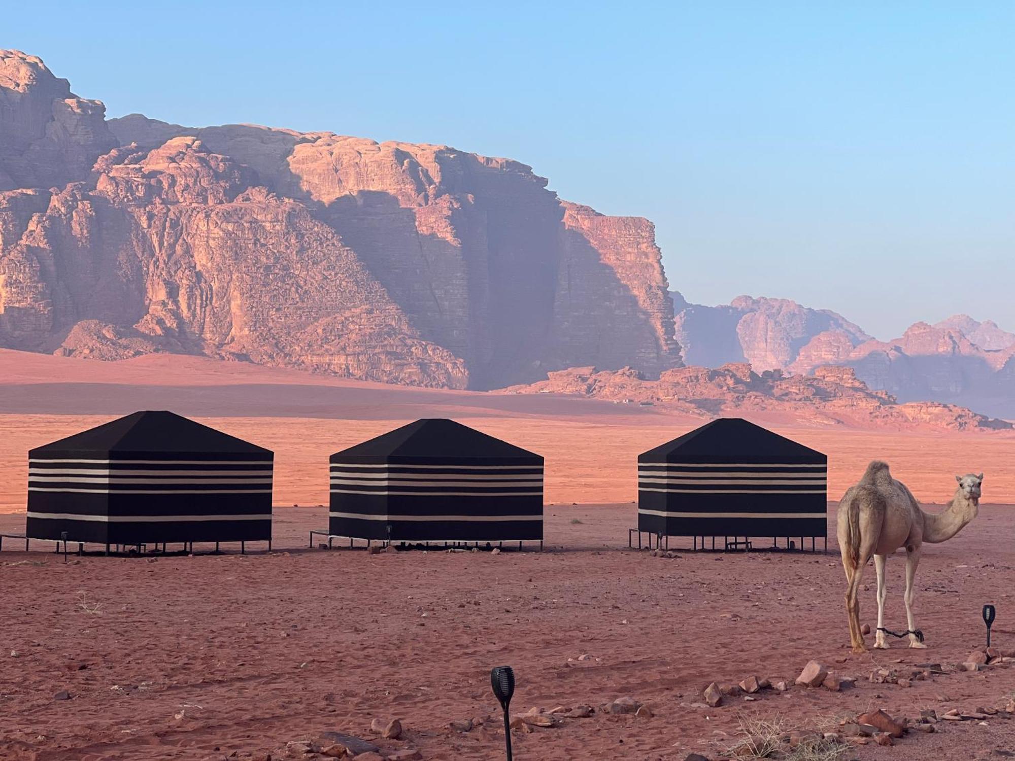 Desert Bird Camp Wadi Rum Luaran gambar